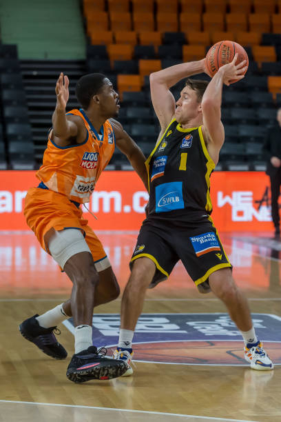 林诗栋的创 林诗栋的创